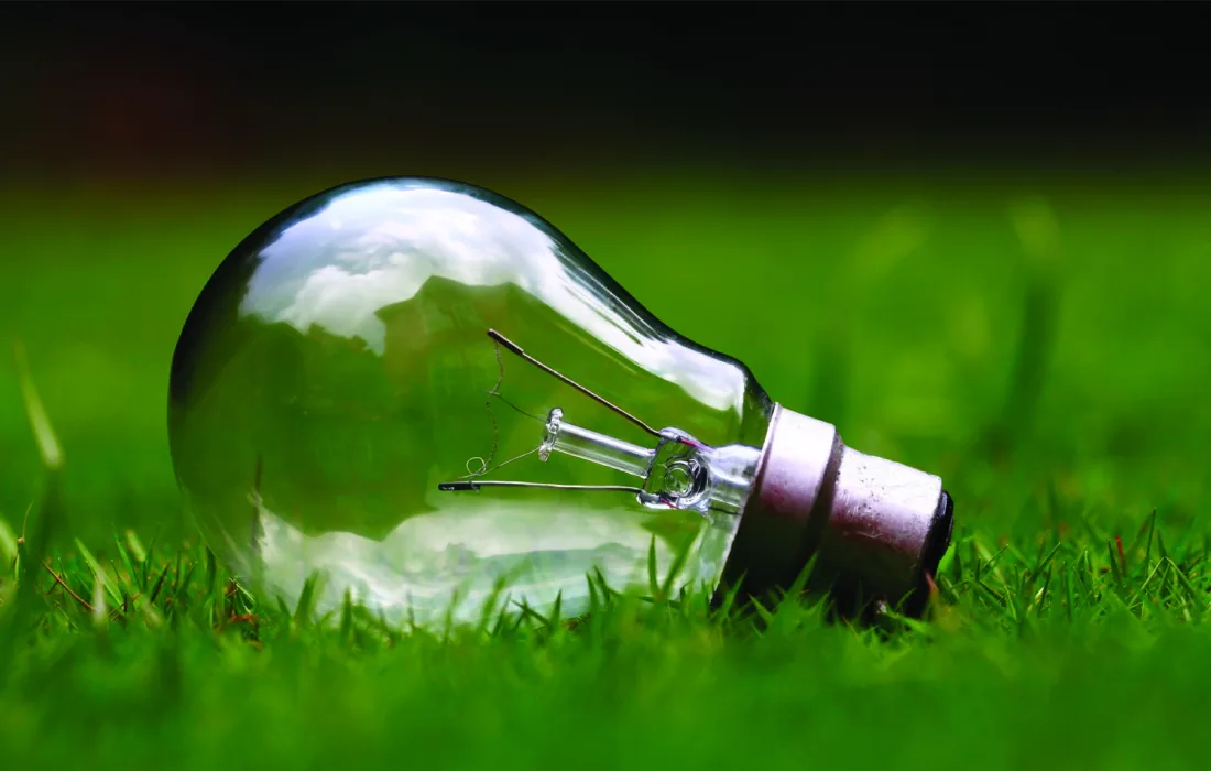 lightbulb on grass