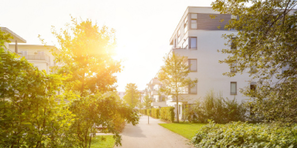 A housing community with plenty of greenspace