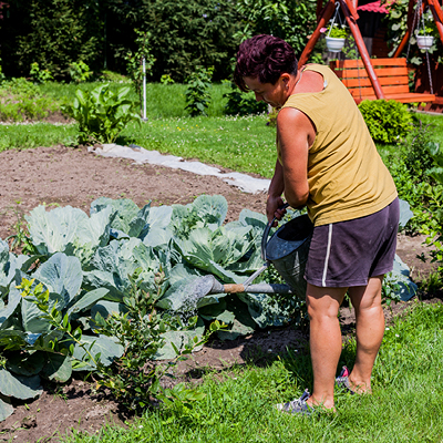 A woman waters a community garden with a watering can.