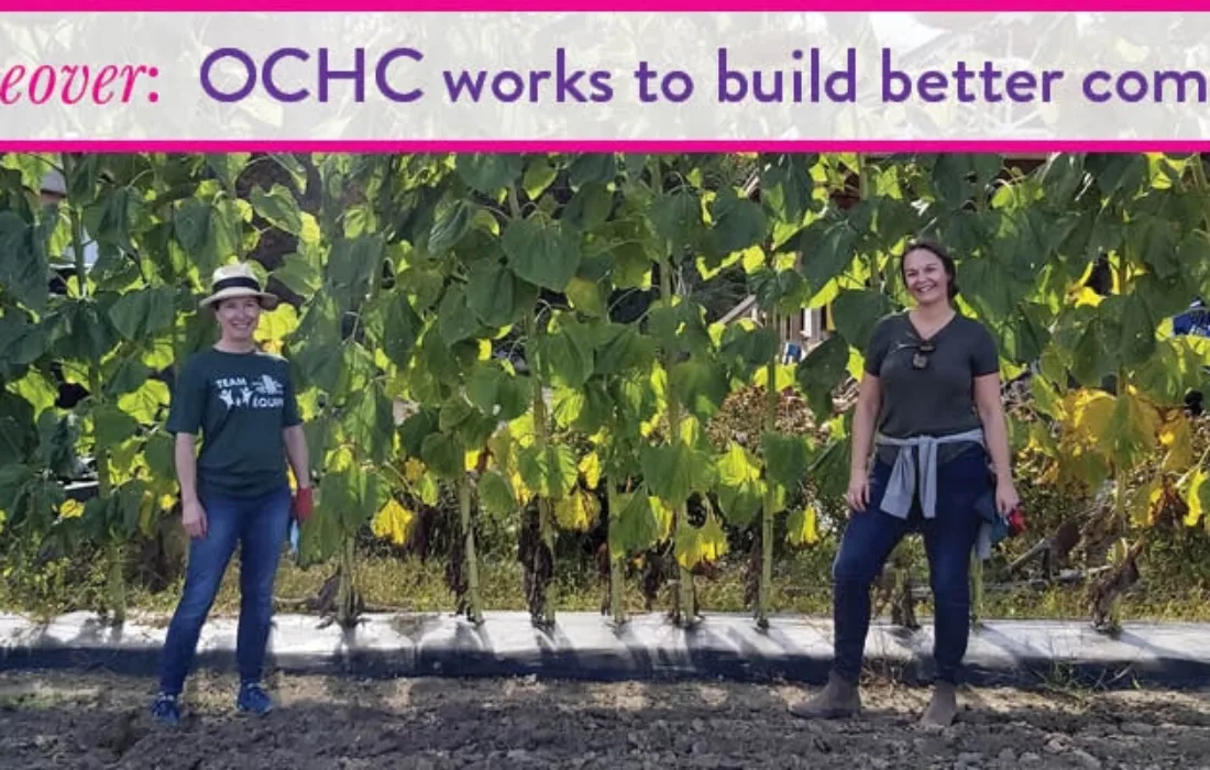 Ottawa Community Housing staff are pictured at the Ottawa Food Bank Farm during an employee engagement event in September.