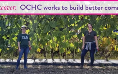 Ottawa Community Housing staff are pictured at the Ottawa Food Bank Farm during an employee engagement event in September.