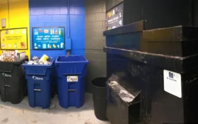 Recycling and compost bins